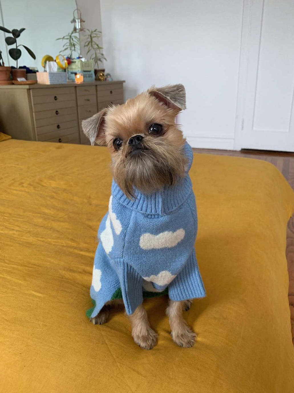 VSCOO 2023 custom blue cute pet sweaters clouds pattern pet knit jumper dog cat pullover sweater