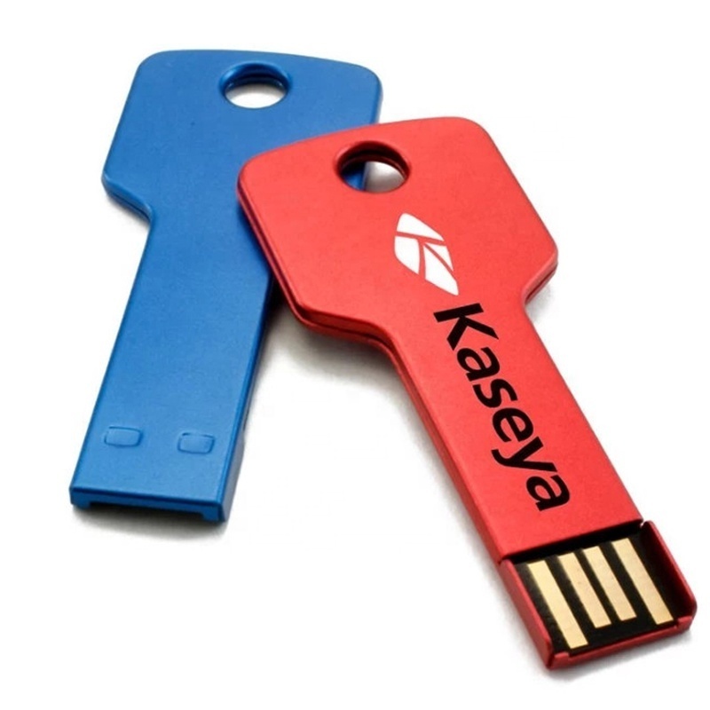 Custom Key Shape USB Flash Drive 4GB 8GB 16GB 32GB 64GB Key USB 2.0 3.0 USB Key for Gifts