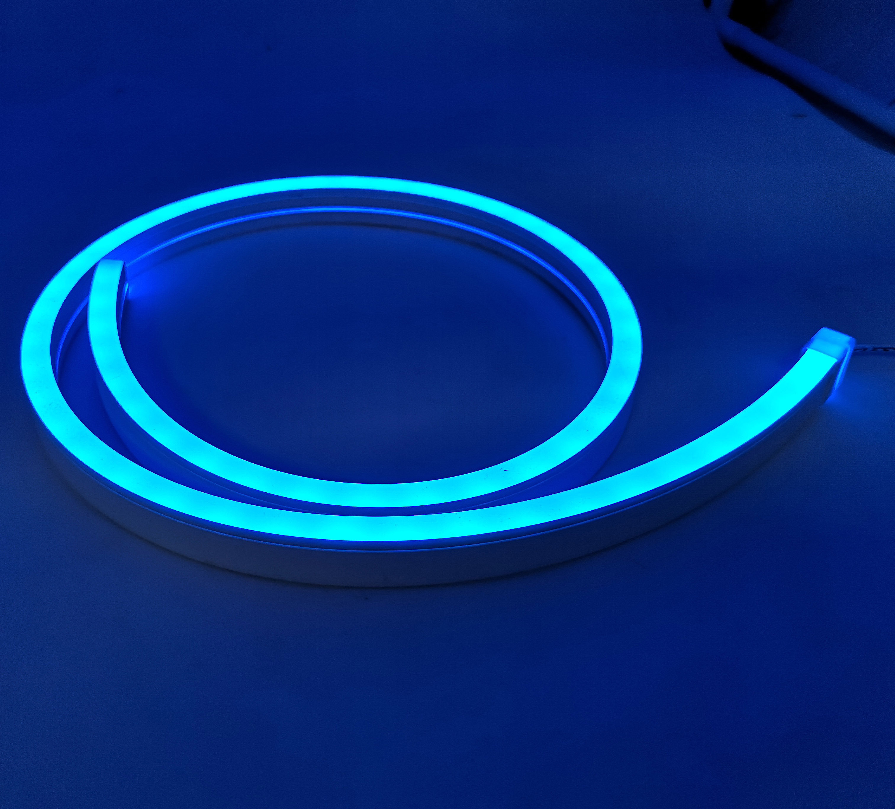 Strip Light LED Strip Lamp Soft Lighting Decoration Illumination LED Neon Silicon Bendable Flexible Silicon 50 DC 12V Luces Led