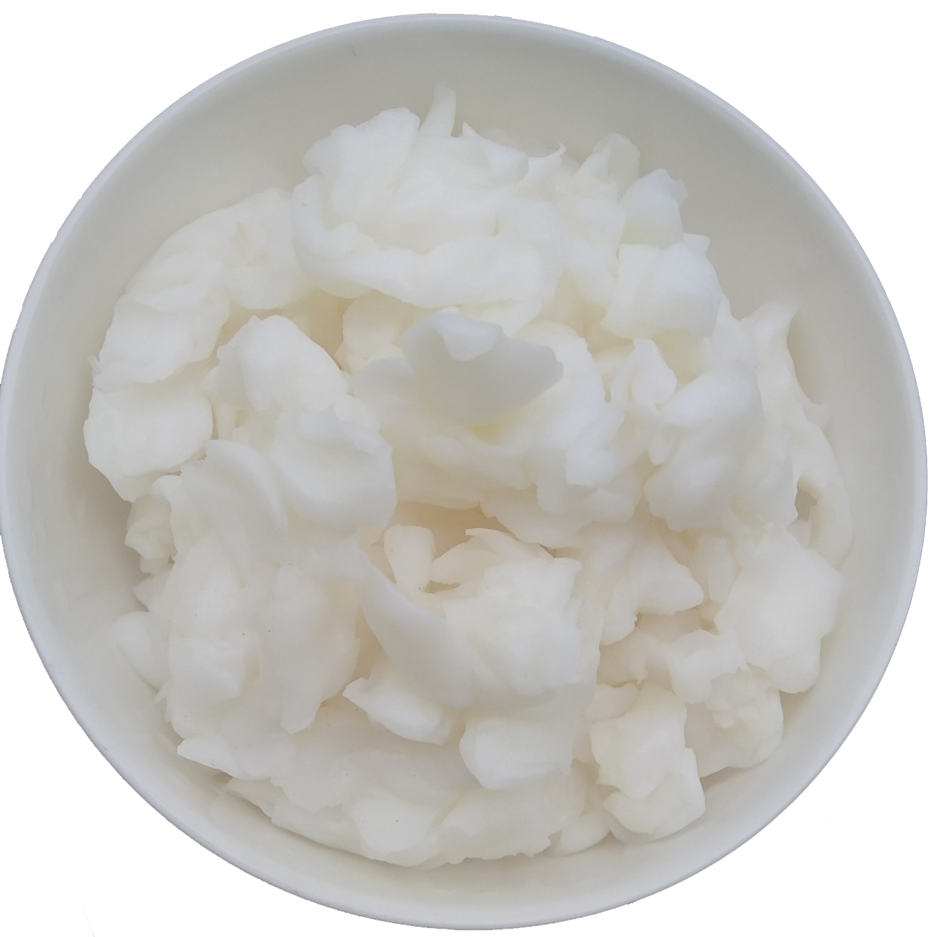 COCONUT JELLY/RAW NATA DE COCO / DRIED NATA DE COCO