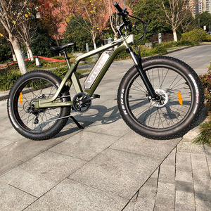 Powerful Aluminium Alloy Ebike 26 Inch Fat tire e bike 250W 750W 36V 48V Motor bike electric