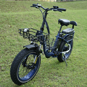 Custom dual batteries 20 inch fat bike 250w 750w electric cargo bike delivery eu warehouse frontloader assisted cargo e bikes