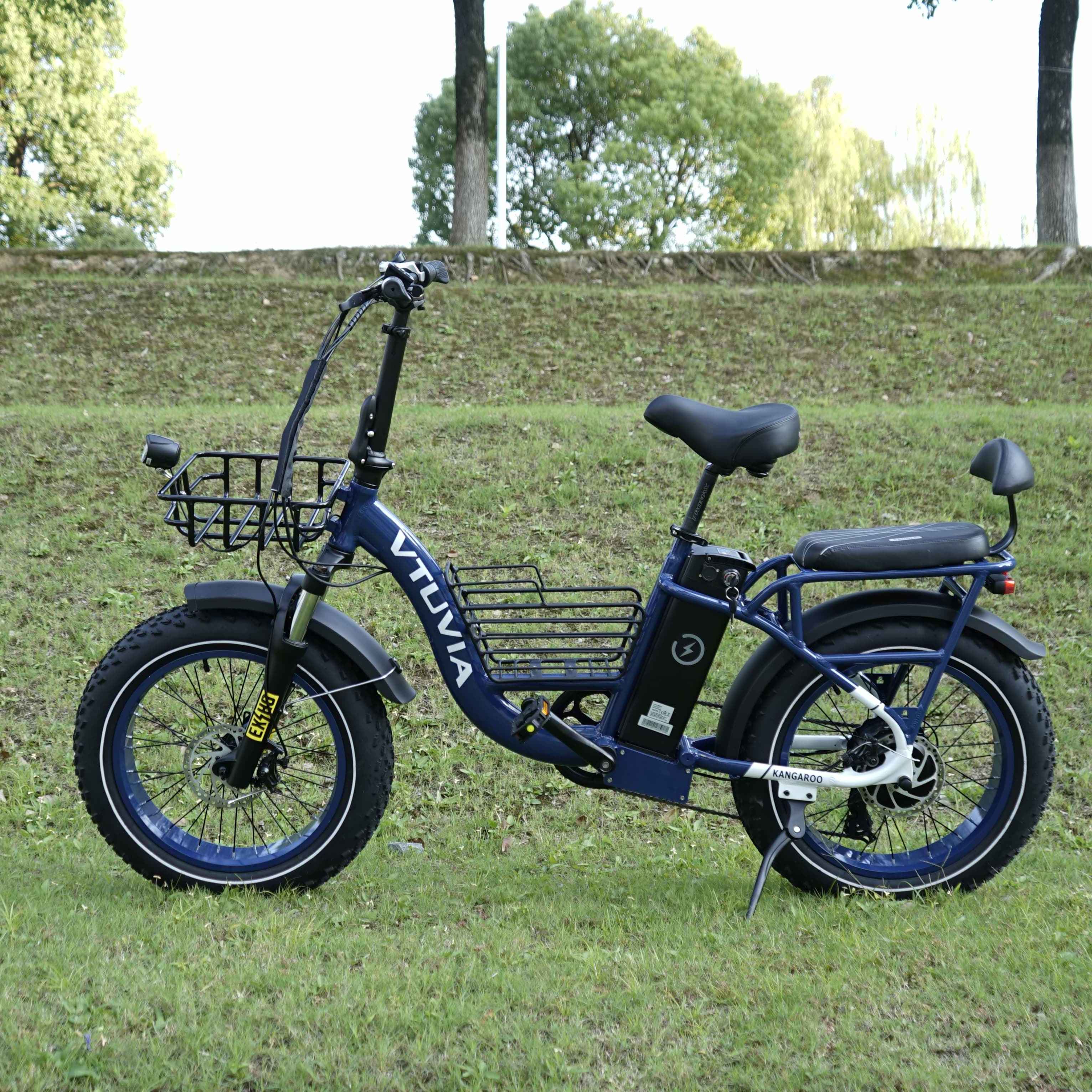 Custom dual batteries 20 inch fat bike 250w 750w electric cargo bike delivery eu warehouse frontloader assisted cargo e bikes