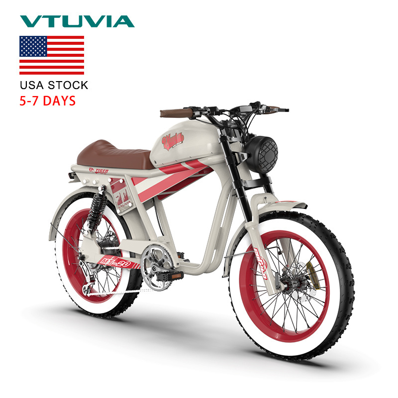 USA Warehouse 500w 750w 48v Motor Fat Tire Fast Full Suspension Electric Mountain Dirt Bike City Bicycle Electric Motorcycle