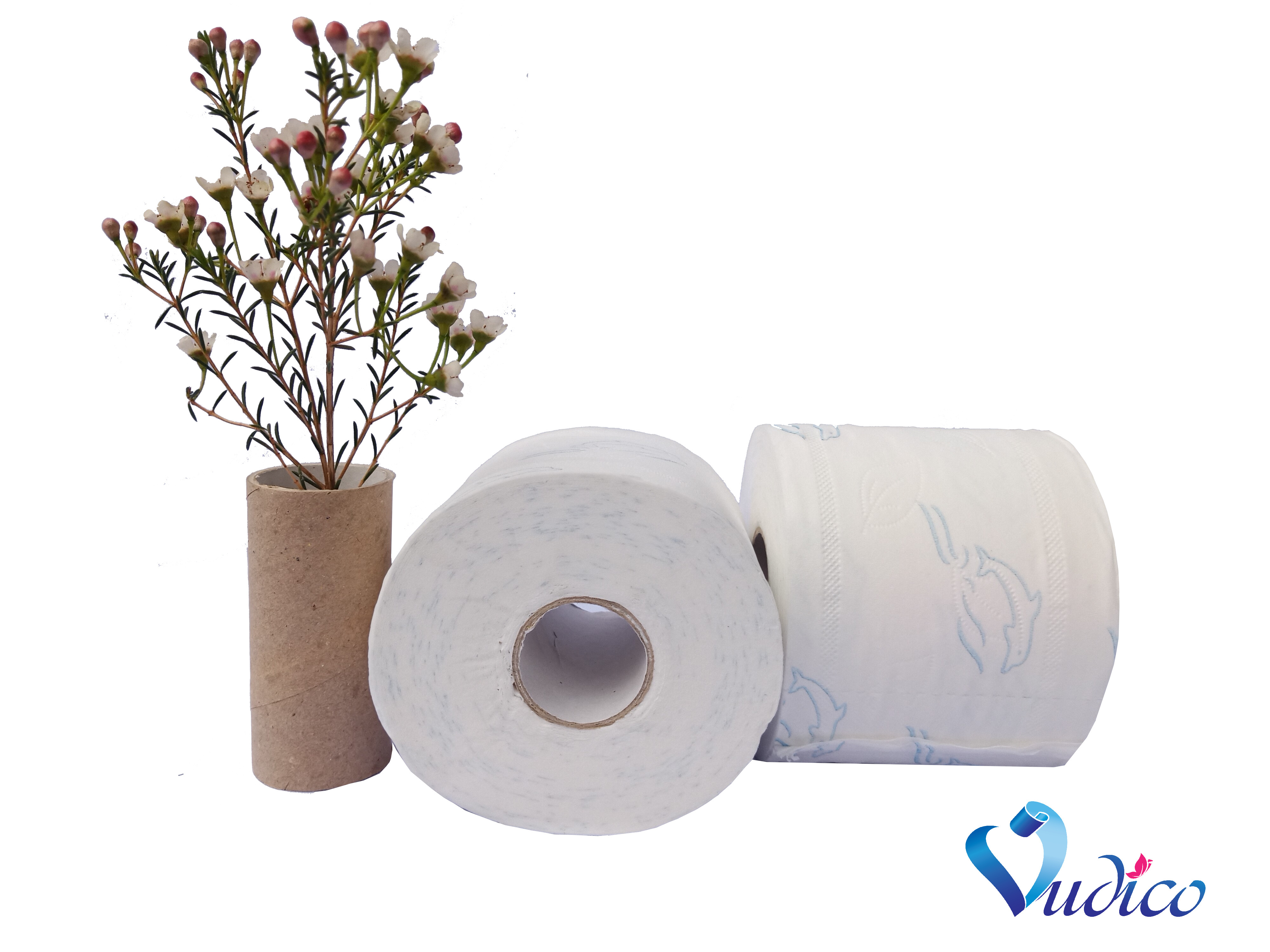 2/3/4ply 100% virgin wood pulp soft touch toilet tissue paper roll tissue roll Made in Vietnam