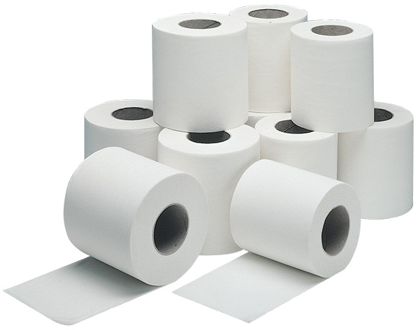 Free samples High quality cheap custom private label toilet paper bath tissue paper roll Made in Vietnam