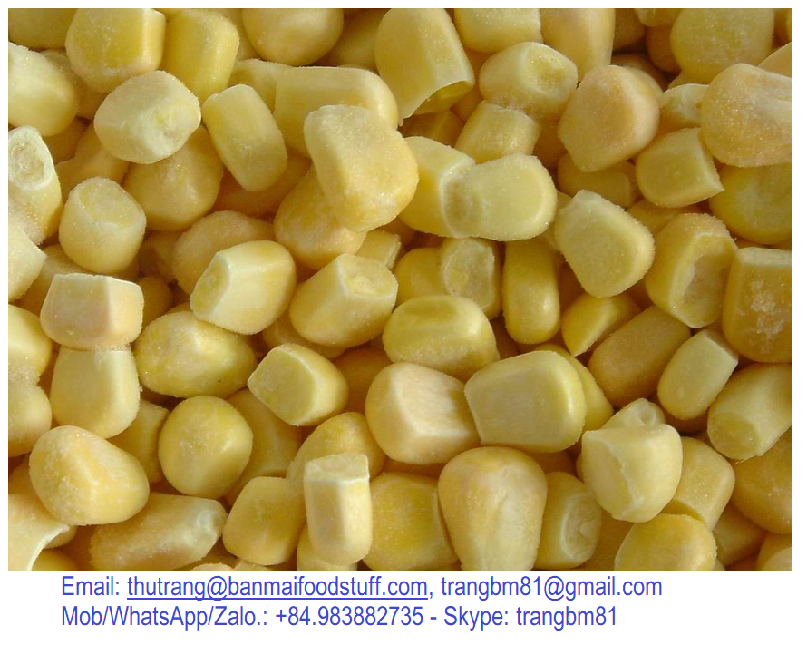 IQF FROZEN WHOLE SWEET CORN COBS OEM PACKING SMALL BAGS UP TO BIG BULK WITH GOOD QUALITY GRADE FROM OWN FARMS ORIGIN OF VIETNAM