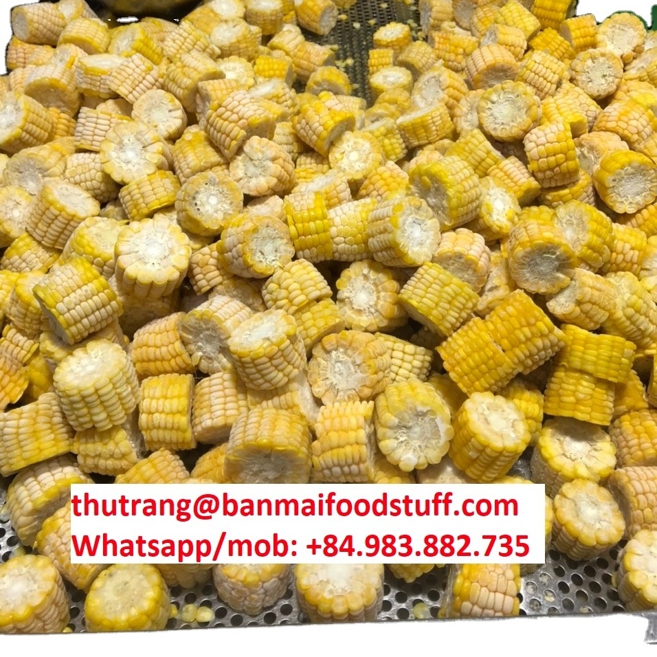 VIETNAM FROZEN WHOLE KERNEL SWEET CORN COBS FOR SALE