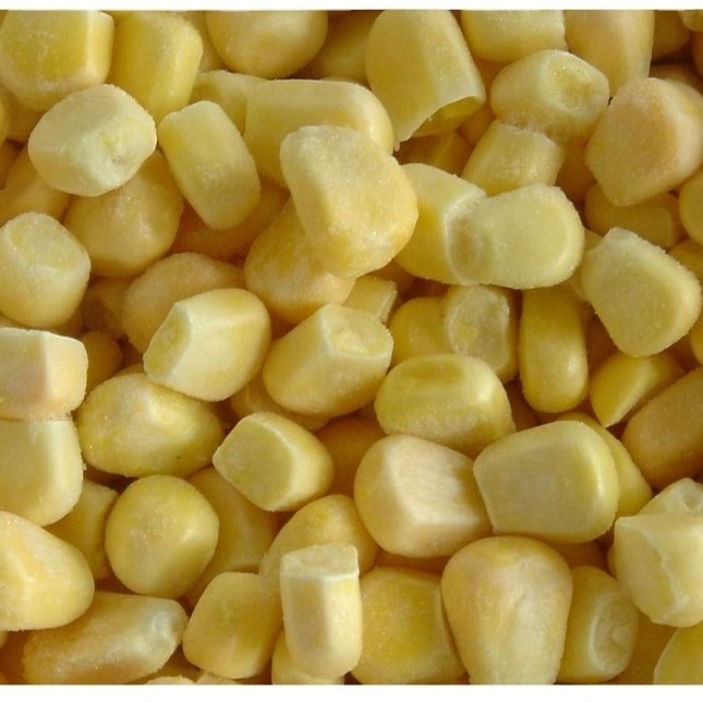 VIETNAM FROZEN WHOLE KERNEL SWEET CORN COBS FOR SALE