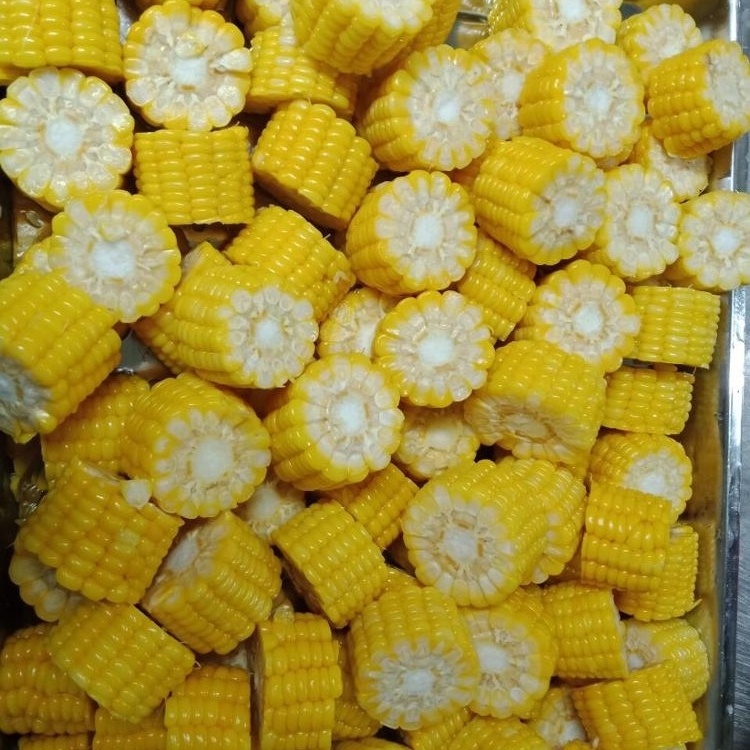 IQF FROZEN WHOLE SWEET CORN COBS OEM PACKING SMALL BAGS UP TO BIG BULK WITH GOOD QUALITY GRADE FROM OWN FARMS ORIGIN OF VIETNAM