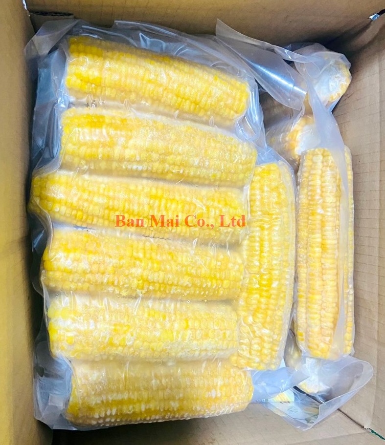 VIETNAM FROZEN WHOLE KERNEL SWEET CORN COBS FOR SALE