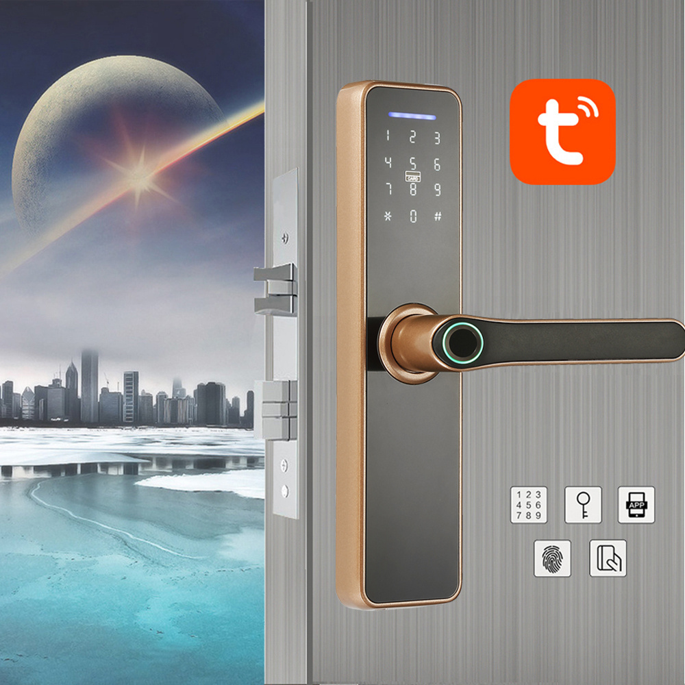 Entry Systems Remote Deadbolt Smart Door Lock Stainless Steel Door Lock Euro Rfid Hotel Locks System Cerradura Intelligent Wifi