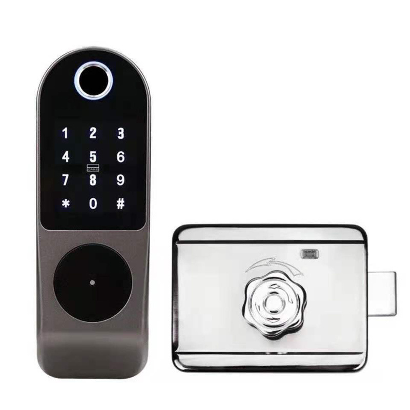 WAFU Smart Rim Door Lock Fingerprint Electric Outdoor Courtyard  Old Style Gate Door Lock with Remote Control Digital DOOR Lock