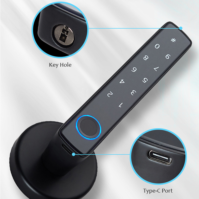 biometric fingerprint smart door lock cerradura smart home design door handle lock Bluetooth knob door lock for office airbnb