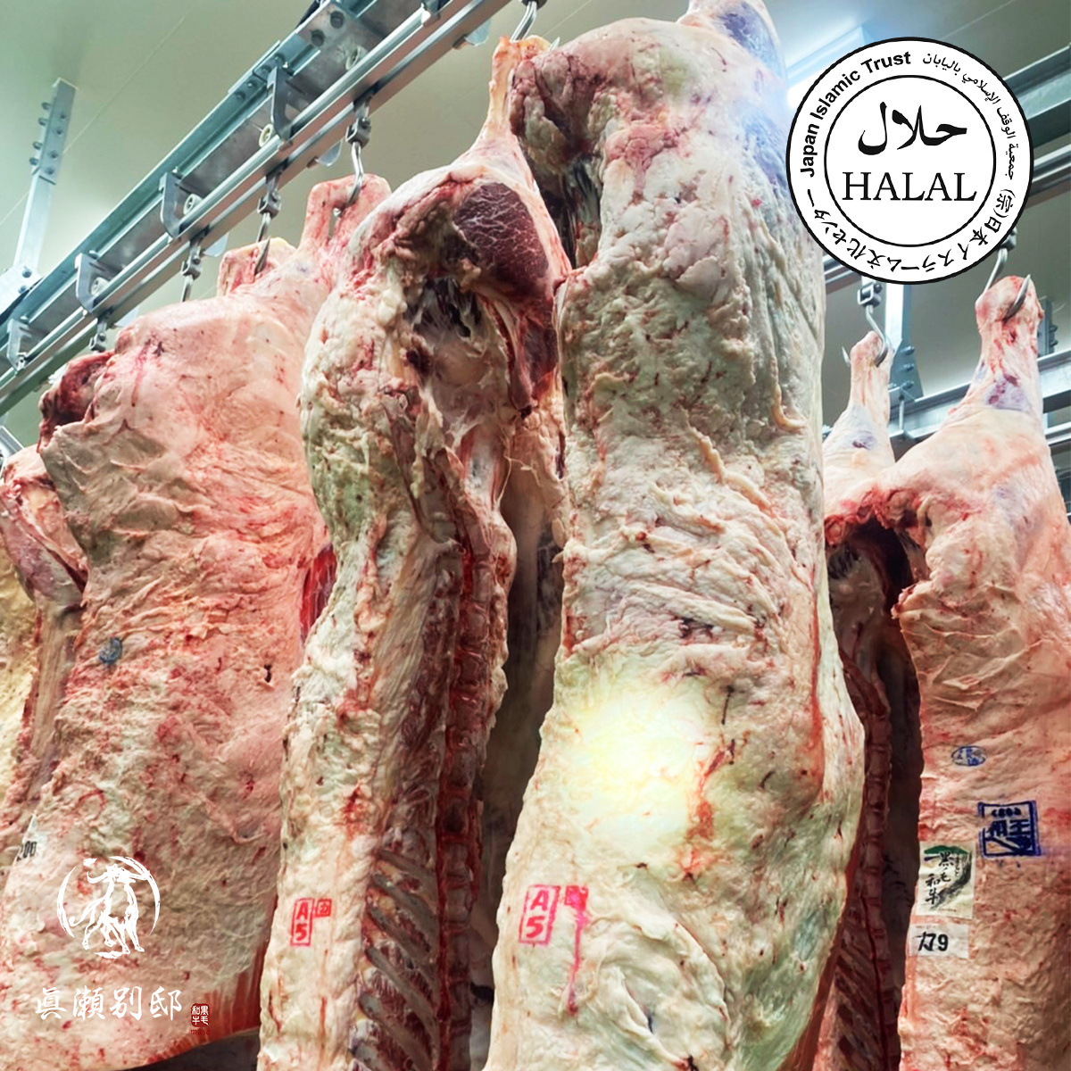 Bulk high quality wagyu beef wholesale prices frozen meat halal