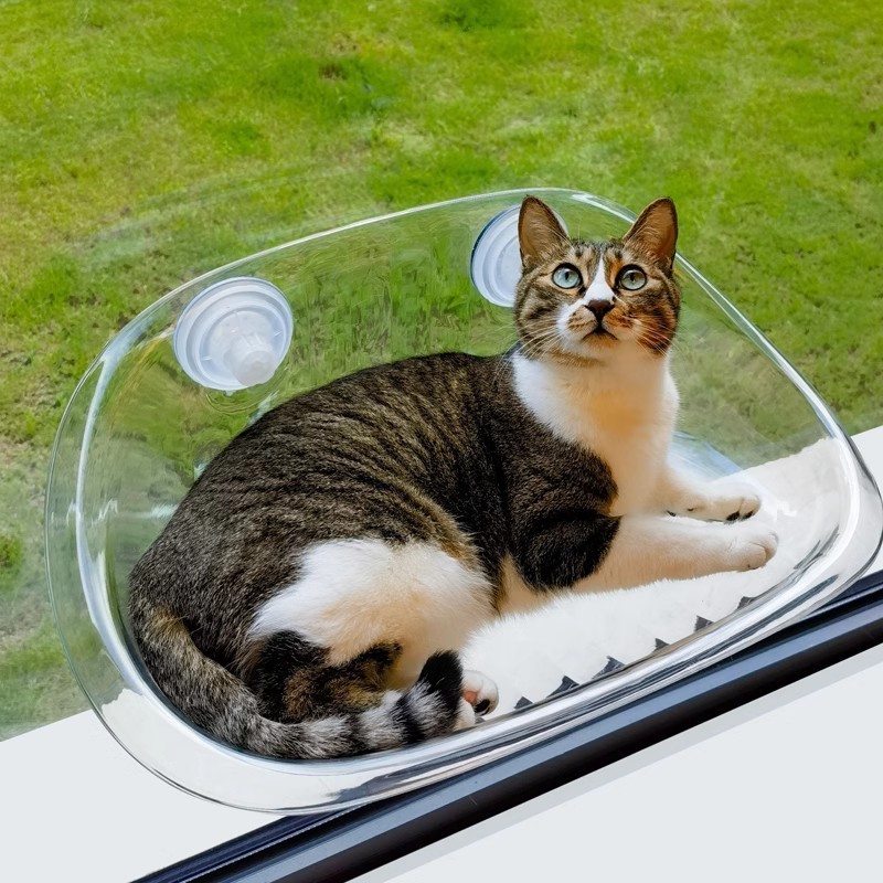 Clear Cordless Cat Window Perch Hammock Bed Cat Shelves And Perches Seat For Wall And Window