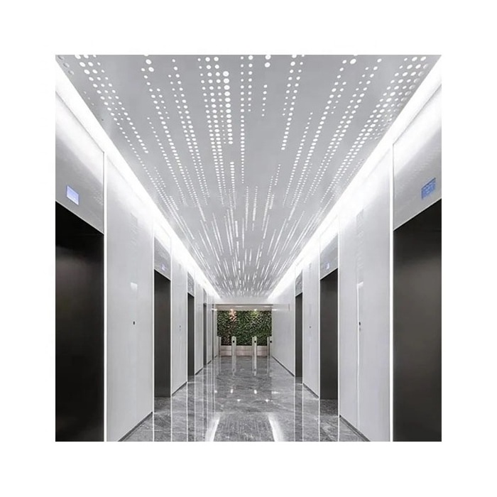 Various Pattern Customized Stainless Steel Carved Decorative Perforated Panel Aluminum Metal Ceiling