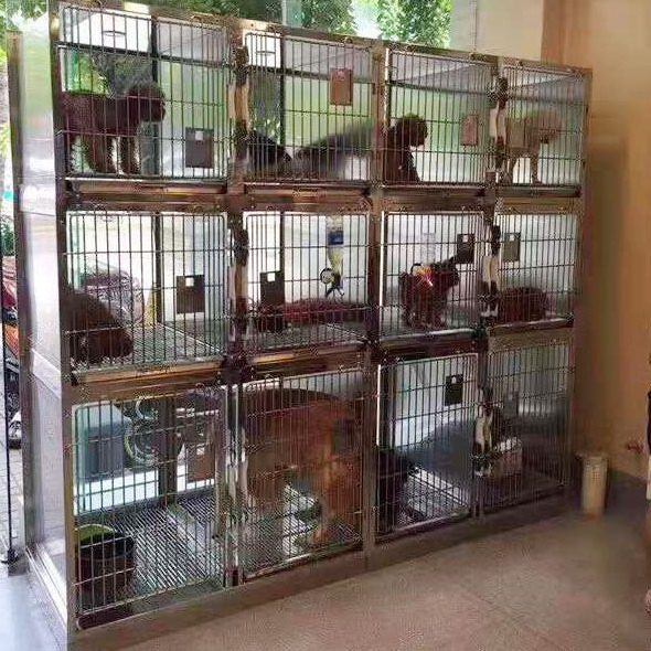 High-Quality Stainless Steel Full Round Corner Veterinary Dog show Cage For pet shop