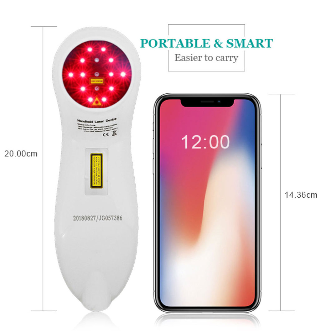 Veterinary Laser Therapy 808nm and 650nm Portable Therapy Laser Device Pain For Horses Dogs