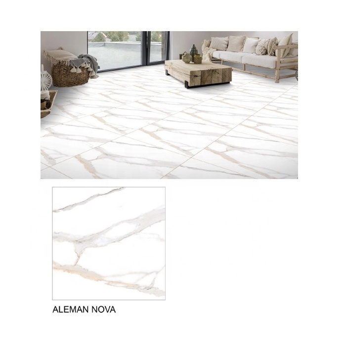 2022 Anti-bacterial Rustic Tile Flooring Ceramic 60x60 white horse Ceramic floor tiles for interior wall decoration