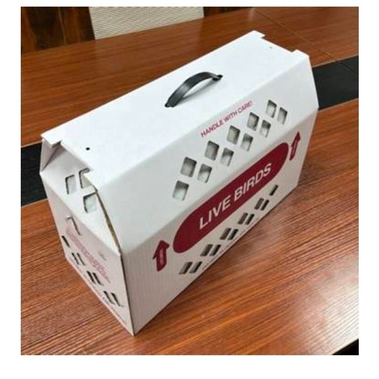 Vented shipping box pigeon chicken live bird shipping boxes