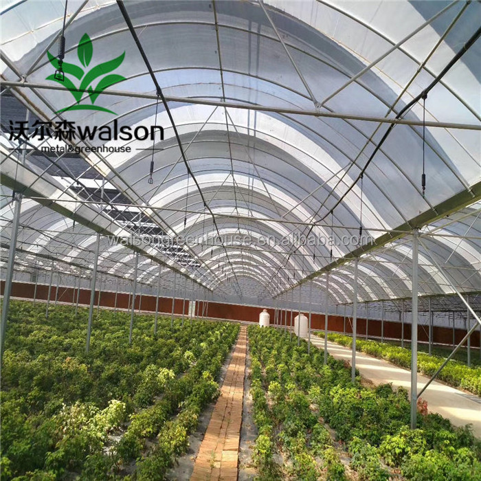 greenhouse structure commercial used greenhouse frames multi span greenhouse for sale