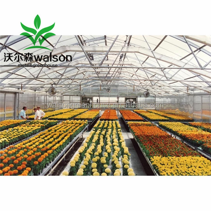 greenhouse structure commercial used greenhouse frames multi span greenhouse for sale