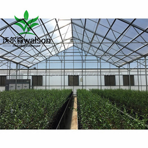 greenhouse structure commercial used greenhouse frames multi span greenhouse for sale