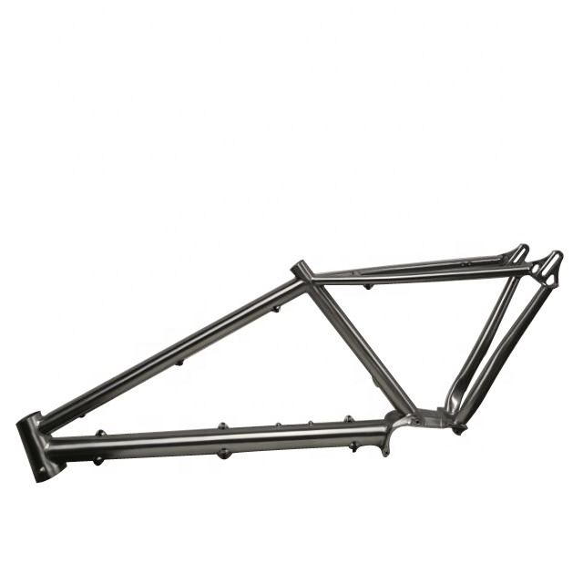 titanium pinion bicycle frame with casting pinion bridge