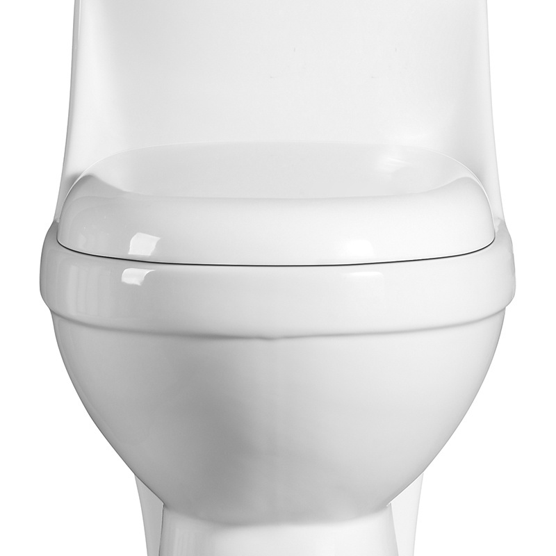 Siphon Flush One Piece Inodoro Ceramic Rimless Dual Flush Siphon Jet Bathroom Types WC Bathroom Toilet