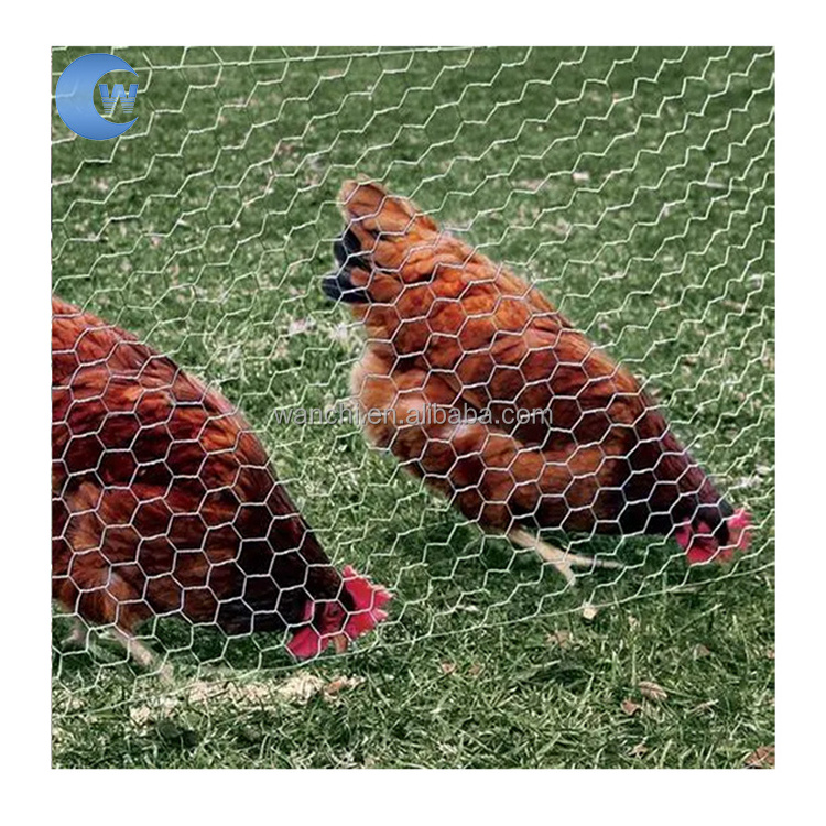 Hot sale 8 foot tall chicken wire fencing/outdoor chicken wire topiary frame/cheap chicken wire mesh