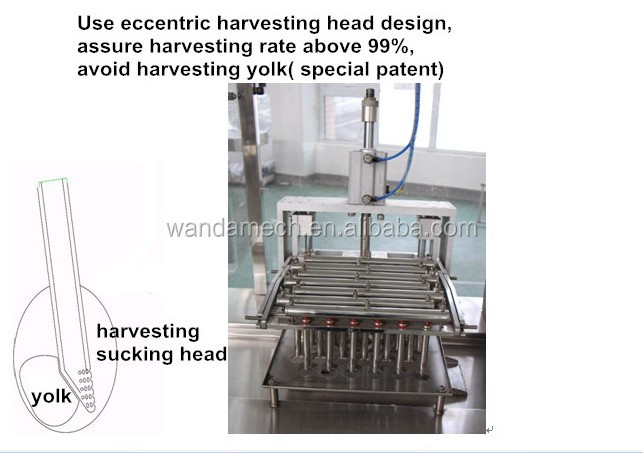 High quality semi-automatic chicken embryo harvesting machine for vaccine production