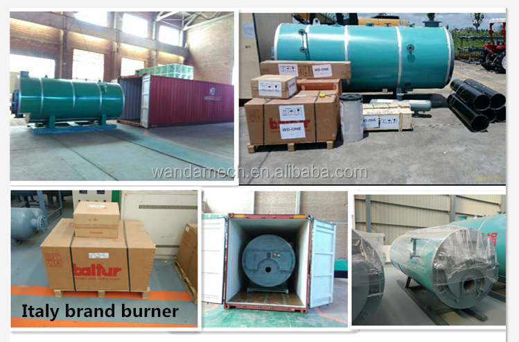 wood burning stove/wood pellet steam boiler