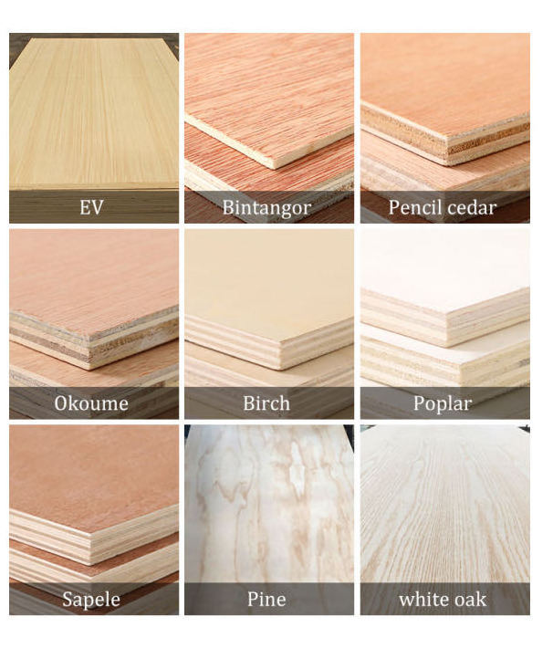 Plywoods 3mm to 25mm birch/osb/poplar/pine wooden panel hardwood plywood film faced plywood construction fancy plywood