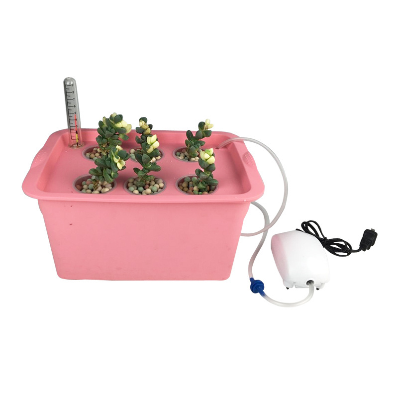 DIY Hydroponic Flower Grow box for planting