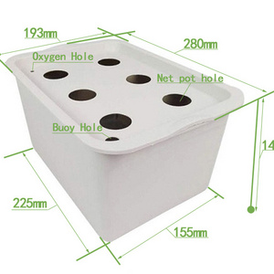 DIY Hydroponic Flower Grow box for planting