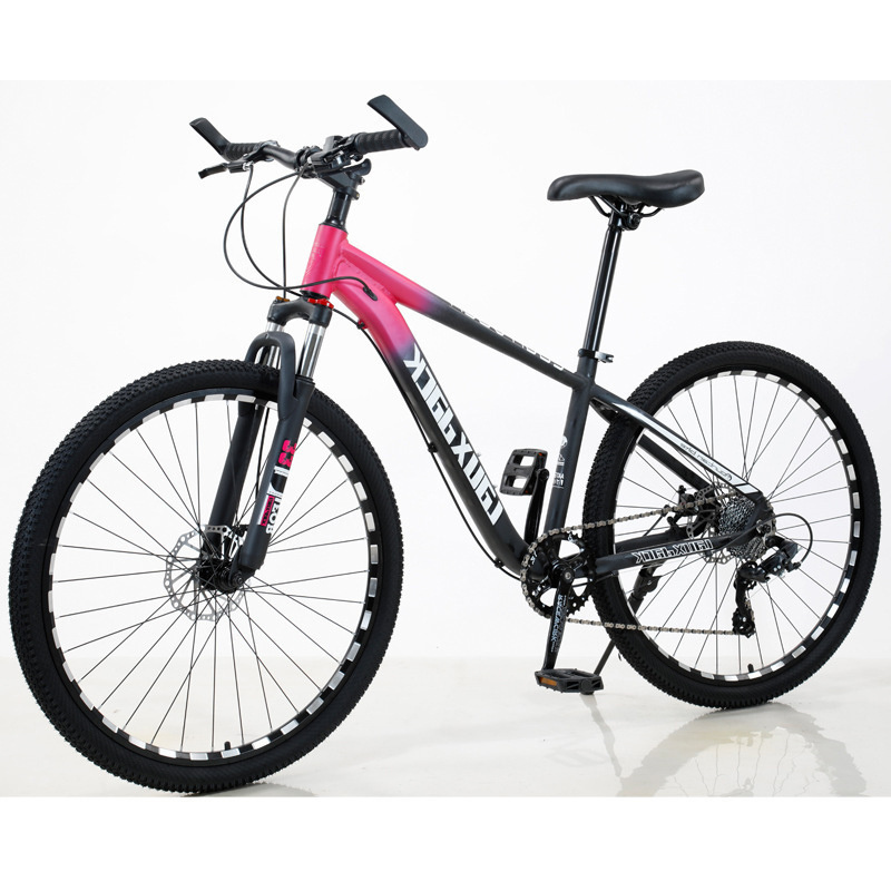 Sepeda MTB Bicycle Frame Sanveer Sta Cruz Laufradsatz Mountain Bike Galaxy High Quality Have Duty