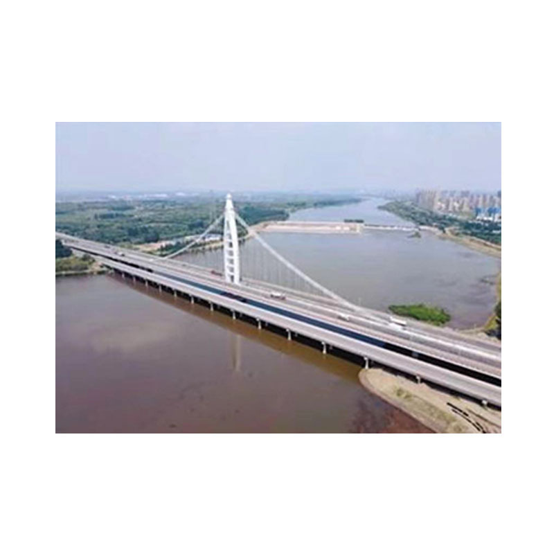 Factory low cost prefabricated building steel bridge footbridge professional manufacturer