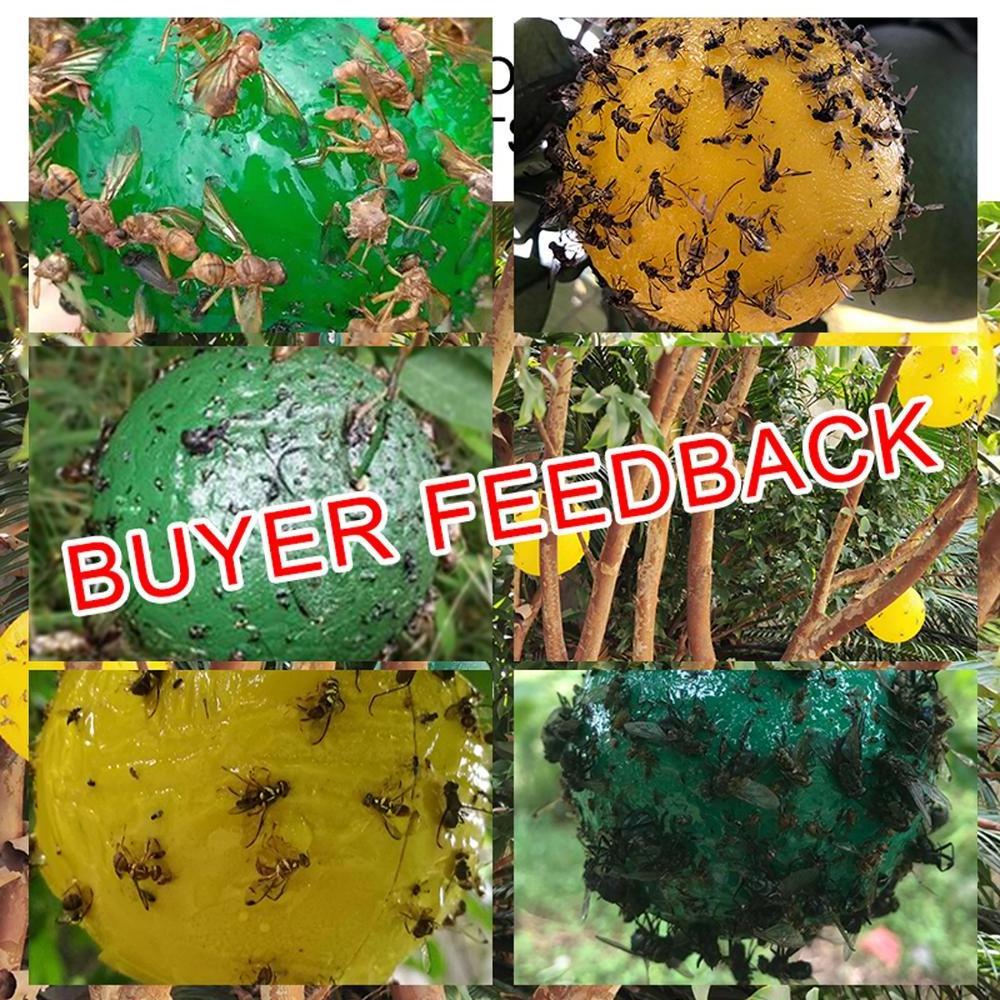 Drosophila Fruit Wasp Yellow Jacket Bee Sticky Trap Ball Catcher Killing Fly Control Killer