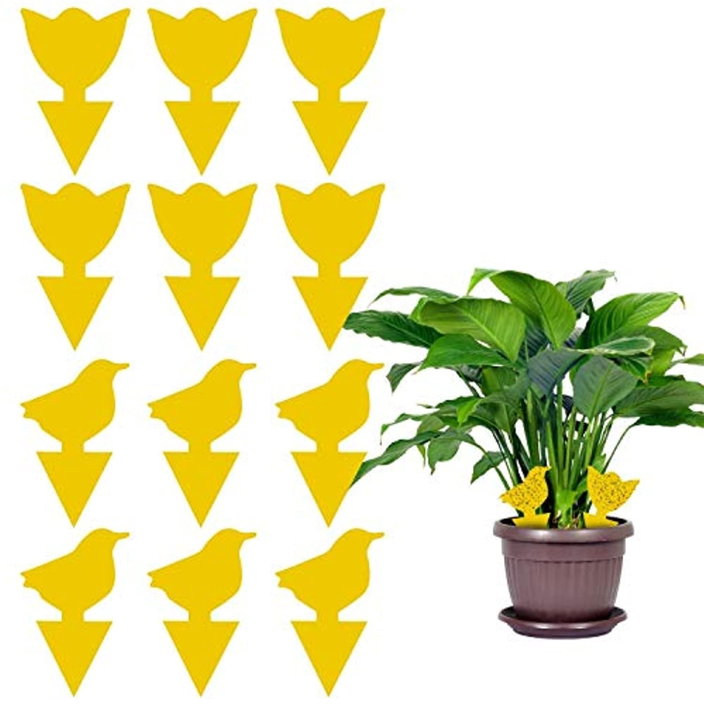 Sticky Trap Fruit Fly Killer Indoor, Fungus Gnat Trap for House Plants, Yellow Sticky Traps for Plants Insects Bug