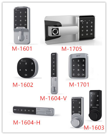 Custom Outdoor Gate Wt-m-1602 Keypad Electronic Lock Smart combination cam lock