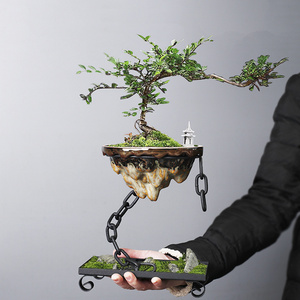 Wholesale wrought iron hanging ornaments living room decoration bamboo succulent moss ball landscape pot