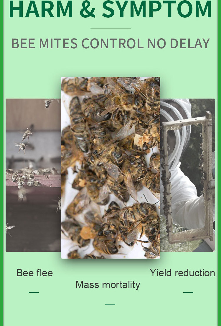 Wangshi Manufacturer Hot Selling 20 Strips Manpu Fluvalinate Strip/ Bee Varroa Mite Treatment strip/Wangshi Varroa killer