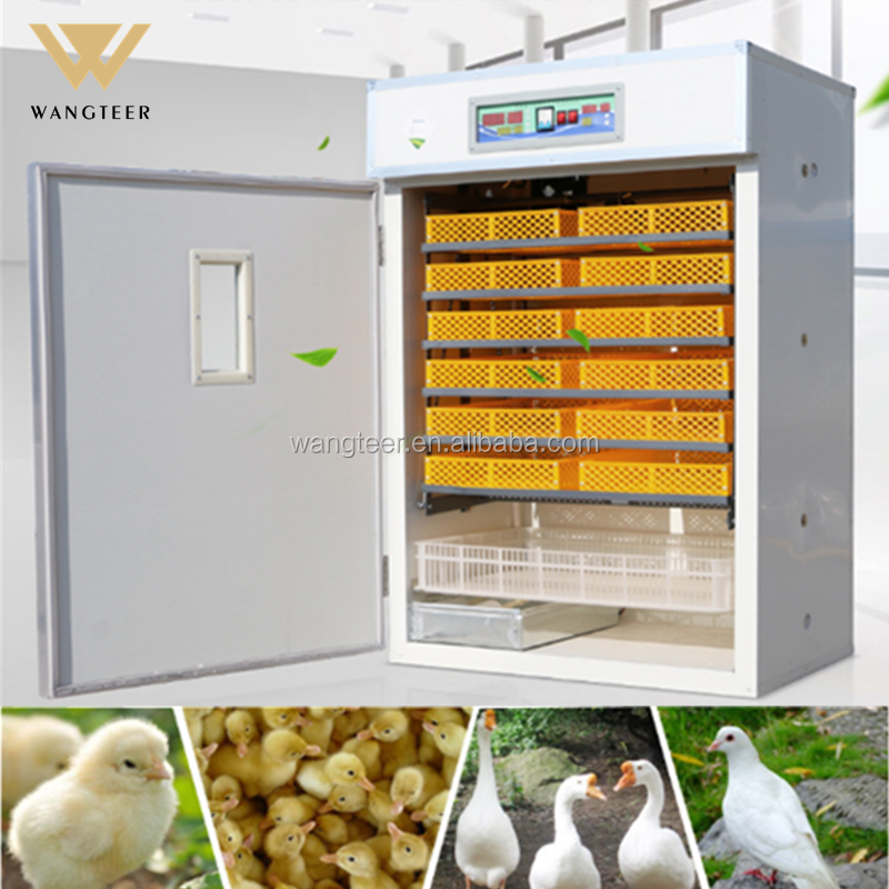 5280 Hot sale  Chicken  Solar Laboratory Tray Spare Part Philippine 200 Egg Incubator