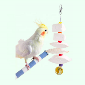 Pet Bird Hanging Chew Toy Suppliers Bird Parrot Swing Chewing 22cm/30cm/40cm Natural Cuttlebone String