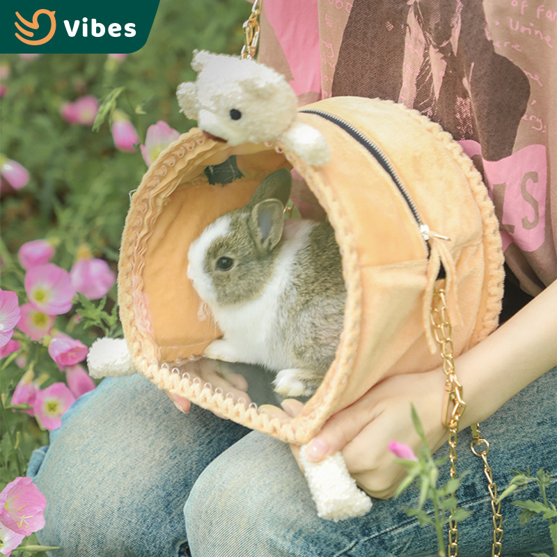 Fashionable Portable Travel Small Pet Backpack Carrier Hamster Bag Bird Parrot Transport Boxes Bag 1 Piece With Metal Chain