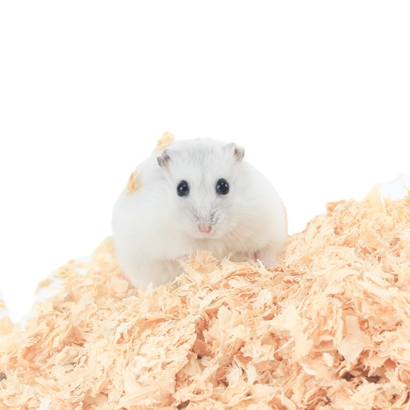 Hamster bedding small animal clumpet pine sawdust wood shaving hamster bedding aspen wood pellet litter wood bedding for hamster