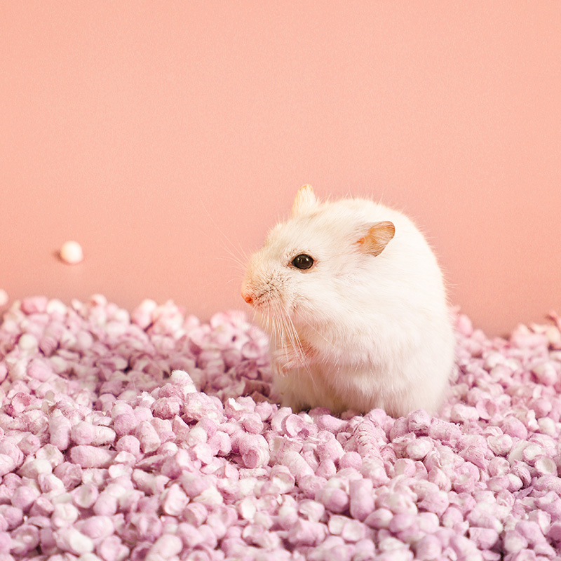 Hamster paper bedding soft small animal  bedding no dust no fade pellets for small animal