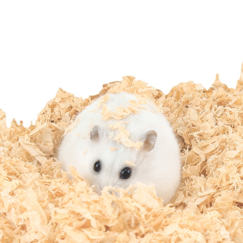 Hamster bedding small animal clumpet pine sawdust wood shaving hamster bedding aspen wood pellet litter wood bedding for hamster