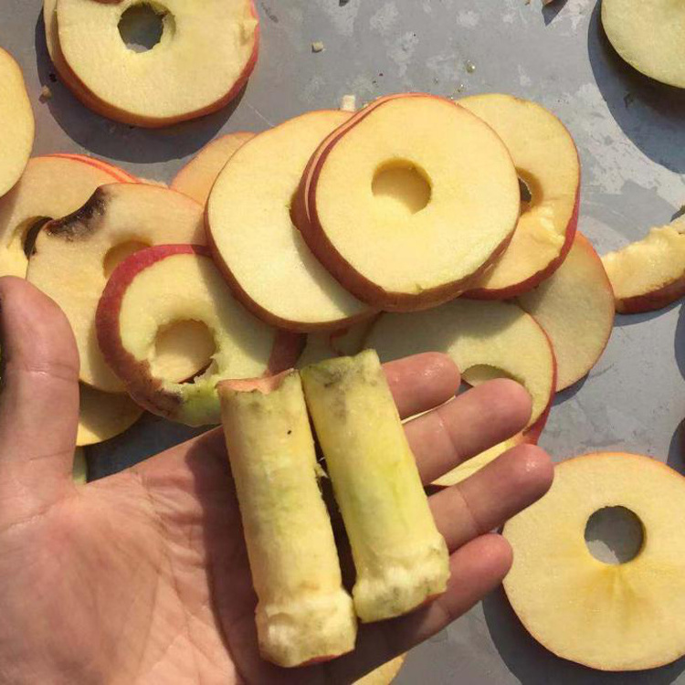 apple seed remove machine Dates seed removing machine Cherry & grape corer apple corer slicer